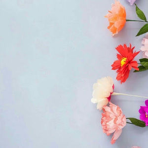 Meet your Posher, Lisbeth